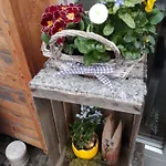 Apartmán Apartmenthaus Amelie *