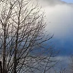 Apartmenthaus Amelie Lunz am See