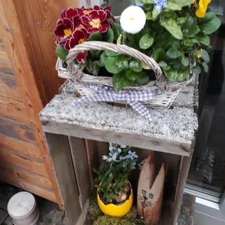 Appartement Apartmenthaus Amelie *