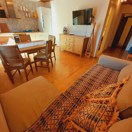 公寓 Apartmenthaus Amelie 滨湖伦茨