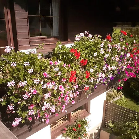 Apartamento Apartmenthaus Amelie Lunz am See