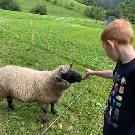 Appartement Apartmenthaus Amelie Lunz am See