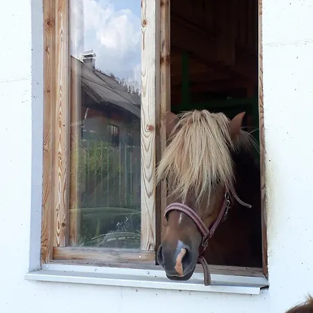 Apartmenthaus Amelie * Lunz am See