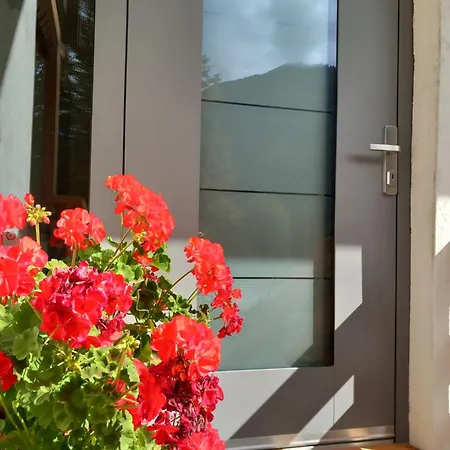 Apartmenthaus Amelie *