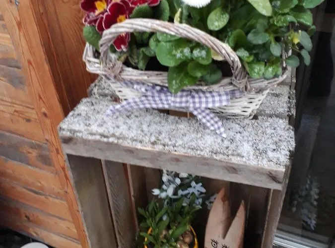 شقة Apartmenthaus Amelie *