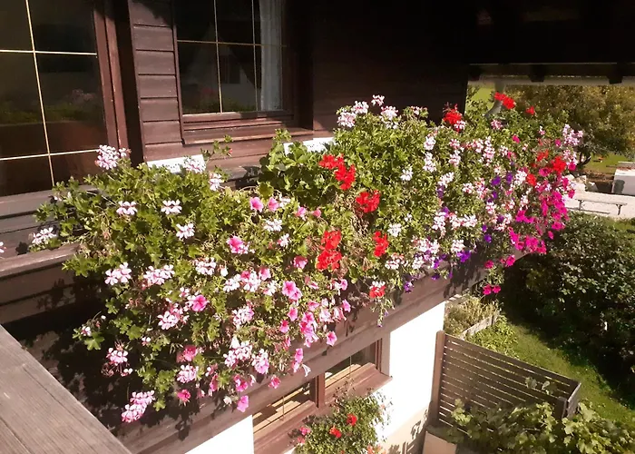 Apartment Apartmenthaus Amelie Lunz am See