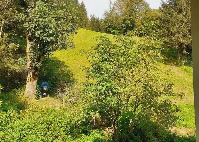 Apartmenthaus Amelie