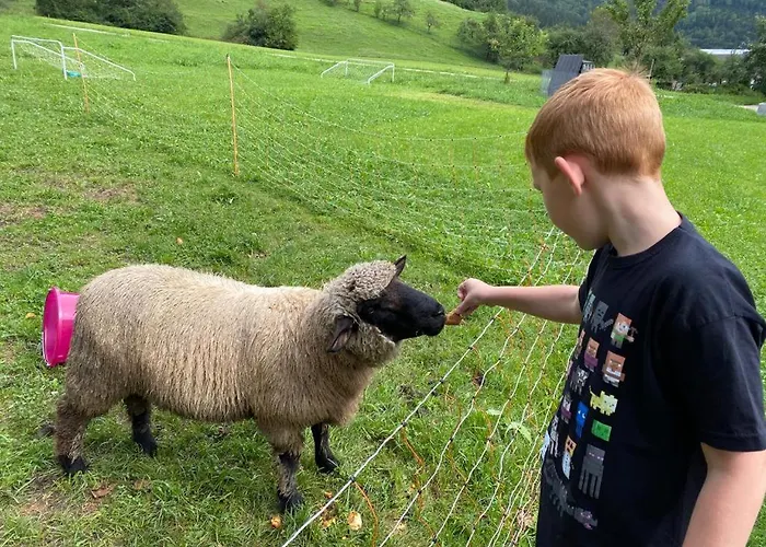 Apartment Apartmenthaus Amelie Lunz am See