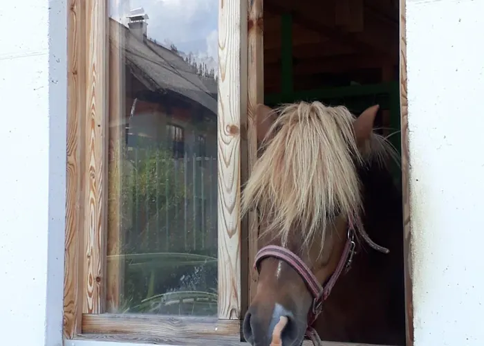 Apartmenthaus Amelie * Lunz am See