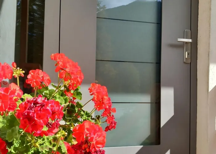 Apartmenthaus Amelie *