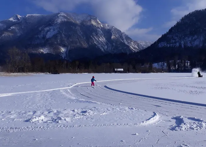 Apartmenthaus Amelie Apartment