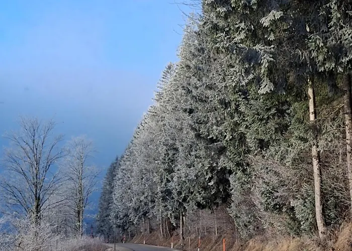 Apartment Apartmenthaus Amelie Lunz am See