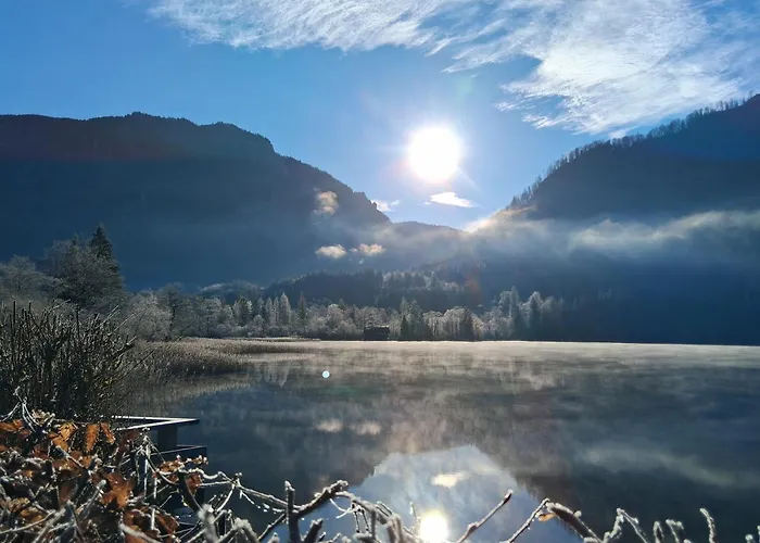 Apartmenthaus Amelie Apartamento