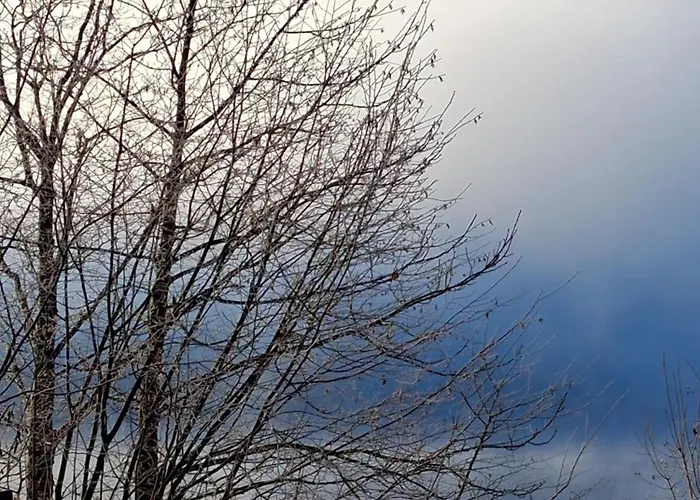 Apartmenthaus Amelie Lunz am See